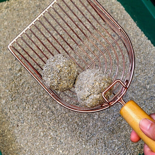 Kattegrusske i rustfrit stål med krog 1