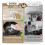 15 Pack Biodegradable Natural Kitchen Sponge - Compostable Cellulose and Coconut Walnut Scrubber Sponge 6