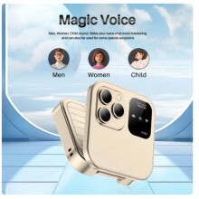 Flip Mobile Phone FM Radio Voice Blacklist Speed Dial Vibration 2SIM Card Small Display Foldable Phone(Gold)