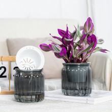 (Transparent Gray) Self-Watering Flower Pots for Home & Balcony