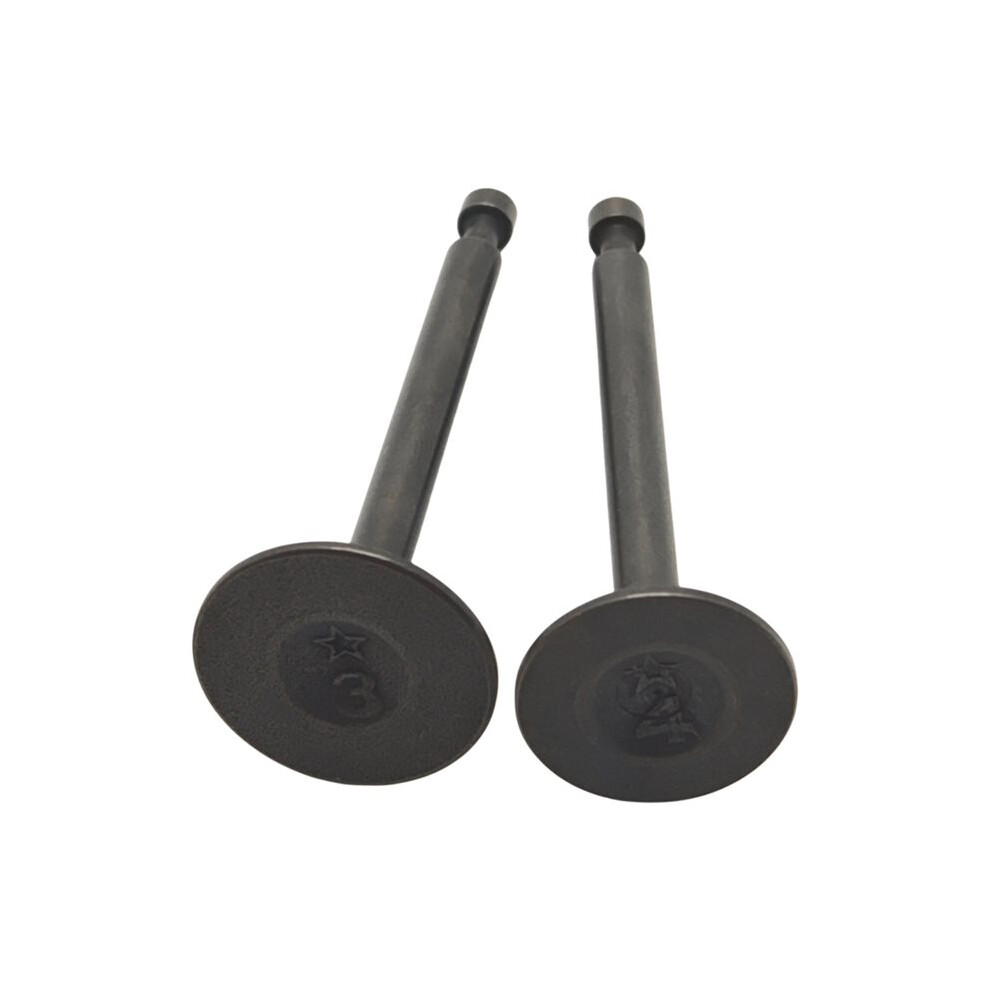 Intake & Exhaust Valve Set For Gx35 Gx35nt Engine Hht35s Umk435 Brushcutter Trimmer Strimmer Parts 14721-Z0z-800 6031995470411