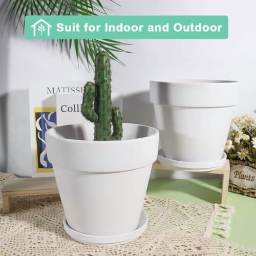 Conjunto de 6 vasos de barro branco com pires, 12,7 cm (5 polegadas) 1