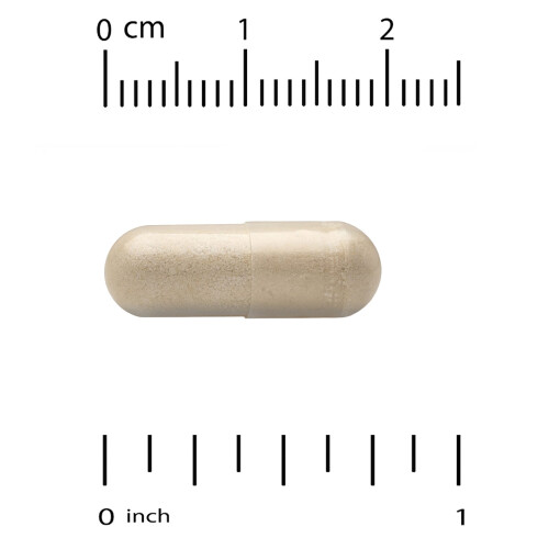 Super Nutrition, Μύλοι Θύλλης, 160 mg, 60 Βεγίκεια Κάψουλα 2