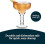 Σετ 4 ποτηριών Margarita, εκπληκτικό σετ ποτηριών Ripple Bar των 13,5 ουγγιών, για ποτήρια 5
