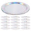 Iridescent Paper Plates 23cm 30 Pack 5