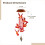 Solar Cardinal Wind Chimes, Red ABS, 16 cm 5