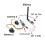 For FPV Traverse Camera Two Way Three Way Video Switcher Electronic  Remote Control Switching Video Module 5