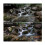 Lens Filter Set for  OSMO Action 5 Pro/4/3- MCUV CPL ND8 Adjustable Filters Action Camera Accessories 9