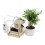 Automatic Flower Watering System DIY Science Experimental Tool Kit with R3 Development Board for Learning 6