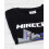 Minecraft Minecraft Short Sleeved T-Shirt (Boys Black) 5