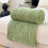 Winter Blanket Raschel Double-Layer 39x59 Inch Green 4