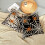Μαξιλαροθήκες διακόσμησης για το Halloween 18x18, σετ 2 μαύρων χαριτωμένων 5