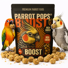 Parrot Pops- Boost Hi Energy - Small - Pokarm Pełen Energii Kształcie Kuleczek Dla Średnich I Małych Papug 250G