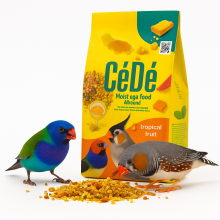 Cede Allround Tropical Fruit - Karma Jajeczna Dla Ptaków 200 G | Wysokobiałkowa Mieszanka Z Owocami Tropikalnymi