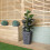 Strata 30cm x 45cm Large Square Plastic Slate Effect Garden Planter in Dark Grey 4
