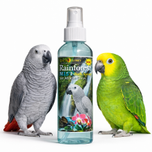 Rainforest Mist - Naturalny Preparat Kondycjonujący Pióra Dla Amazonek I Żako, 237 Ml