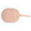 Makeup Sponge Holder - Storage for Makeup Sponges and Powder Puffs 1
