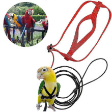 Verstellbares Papageiengeschirr mit Leine, Anti-Biss-Trainingsleine für Haustiere, Outdoor-Fluggeschirr
