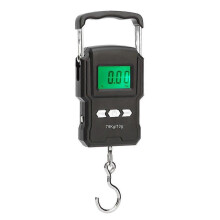 Elektronische Waage, Messgerät, Wiegen, Angeln, Reisen