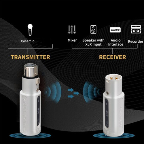 2.4G Wireless Mic System Wired Dynamic Dedicated XLR Transmitter and Receiver for Singing Performance Microphone 2
