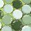 Sage Green Gradient 7" Gold Foil Scalloped Plates (24) 4