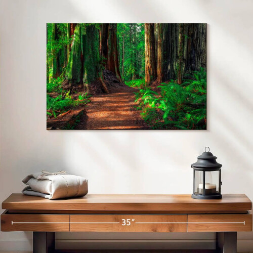 Redwood Forest Path Canvas Art 24 x 16 in 1