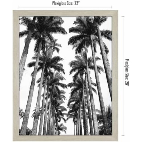 22x28 Poster Frame with Polished Plexiglass – Engineered Wood, Vertical/Horizontal Display – Grey 1