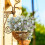 6-Pack Artificial Daisy Bouquets – UV-Resistant Silk 4