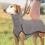 Dog Coat Winter Windproof Fleece Reflective Pocket Small 5