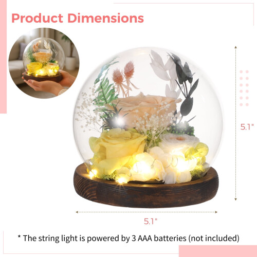 Preserved Rose Glass Dome with Wood Base 2