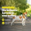 Arnés para perros Easy Walk – Martingale antitirones, clip frontal, 2