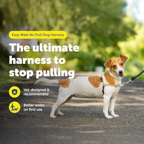 Arnés para perros Easy Walk – Martingale antitirones, clip frontal, 1