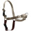 Arnés para perros Easy Walk – Martingale antitirones, clip frontal, 4