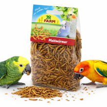 Jr Farm Mączniki- Naturalne Białko Dla Wszystkich Papug 25G