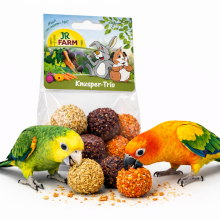 Jr Farm Knusper Trio Do Dziobania Z Lucerną, Marchewką I Burakiem Dla Papug 75 G