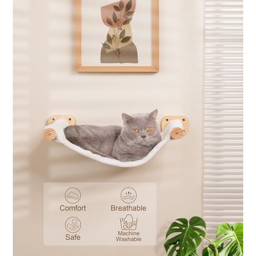 Hamac Cat Balla-Feistithe le Canbhás In-athraithe agus Plush 1