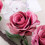 6ft Dusty Rose Silk Flower Garland 3