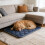 Self-Warming Cat Bed Mat Dark Blue Double-Sided Thermal Pet 4
