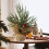 12-Inch Artificial Christmas Tree with Red Berries and 5