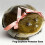 Frog Case, Handmade Ugly Frog Earphone Protector Case, Creativity Anti Drop Scratch Cases, Fun Gift ,for  3 7