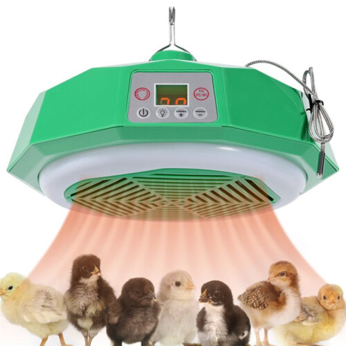 Pet  Heating Lamp Temperature Control Air Warming Remote-Control Lamp Heating Poultry Brooding Incubator EU Plug 2