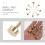Tappo decorativo a vite in rame per specchio (8 pezzi) 3