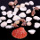 Sea Shells Mixed 100g Natural Colorful Various Sizes 6