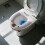 WC-Sitzbezug, dick, hochelastisch, 2er-Pack 5