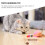 Cat Chew Toy Chewing Stick for Kitten Teething 4 Pcs 2