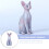 Grey Hairless Cat Figurine Plastic Educational Toy 1 Pack 5