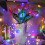 24 Pack Cool White Fairy Lights 7ft 20-LED Battery Operated 4