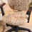Stretch Chair Cover for Office Chairs – Polyester & 4