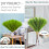 Faux Pampas Grass 38 in 10-Stem Set 5