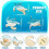 3-Piece Sand Dollar Wall Decor Set 3